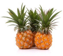 Pineapple Tropical Fruit Or Ananas