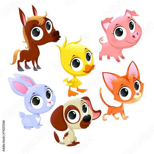 Fototapeta do kuchni Funny farm animals and pets