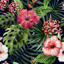 Pattern Orchid Hibiscus Leaves Watercolor Tropics