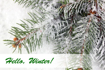 Wall Mural - Hello Winter, greeting card