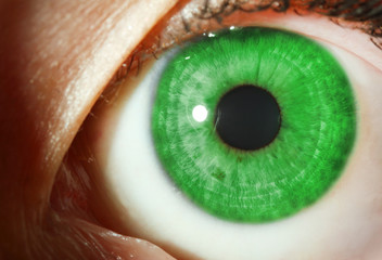 Poster - Human eye close-up