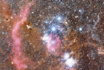 Wall Mural - orion