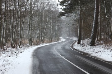 Wall Mural - Winter Road