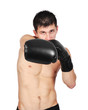 © vetkit - Young Boxer fighter