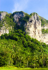 Blue Landscape High Cliffs