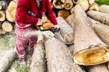 Wall Mural - Man sawing a log in his back yard