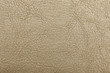 © litchima - leather texture background surface