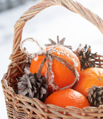 Christmas Tangerines and Pine Cones at the Snow