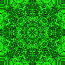 Green Skin Snake Kaleidoscope