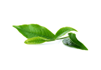 Wall Mural - Green tea leaf isolated on white background