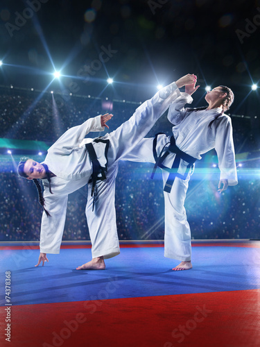 Dekoracja na wymiar  walcza-dwie-profesjonalne-zawodniczki-karate