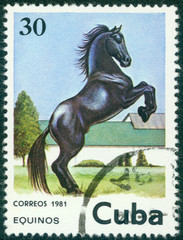 stamp printed in Cuba shows black horse jumping