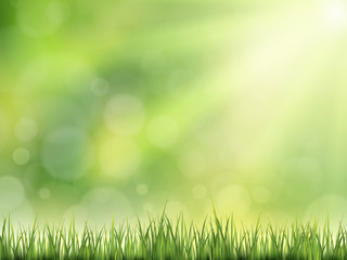 close-up look at natural grass background