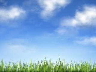 blue sky and field of green grass