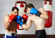 Kickbox sparring