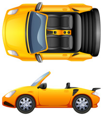 Wall Mural - A top and side view of a sports car