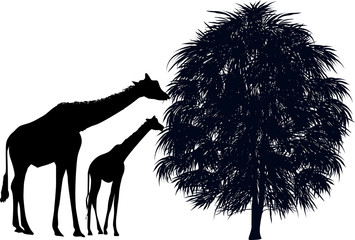 two black giraffes near tree