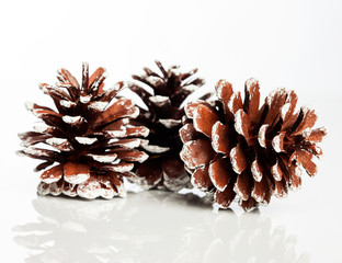 Wall Mural - Christmas decoration with festive pinecone