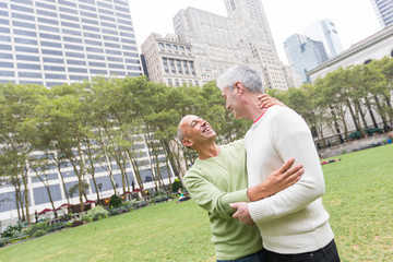 Wall Mural - Gay Couple at Park in New York