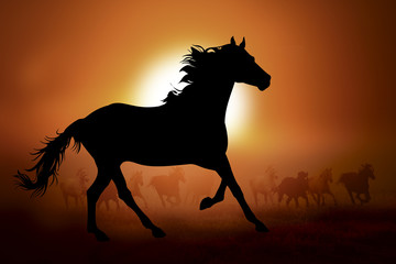 Wall Mural - silhouette of a horse in sunset