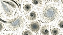 Symmetrical Colorful Fractal Flower Spiral, Digital Abstract