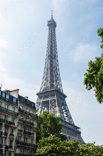 Fototapeta na wymiar The Eiffel Tower in Paris