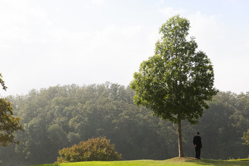 Man standing under a tree