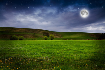 Canvas Print - Green field in the night. 