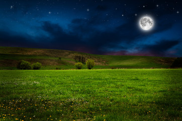 Canvas Print - Flower field in the night.