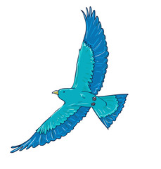 Wall Mural - blue bird vector. flight of a bird, flapping wing.