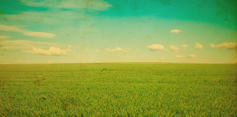 Wall Mural - green field