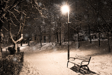 park in a snowfall