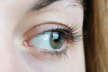 Wall Mural - Female eye close-up