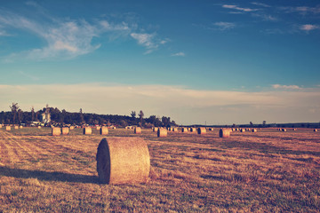 Wall Mural - Farmland