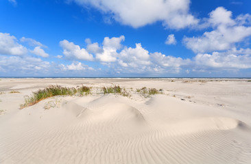 Wall Mural - sand dunes and blue sky at coast
