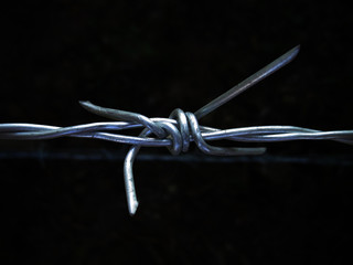 close-up of barbed