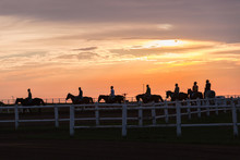 Race Horses Track Riders Silhouetted Landscape