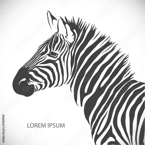 Plakaty zebra   etykieta-z-glowa-zebry-wektor