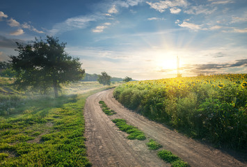 Wall Mural - Country road and sunflowers