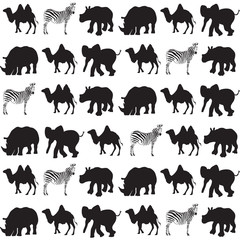 africa