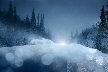 Sticker - Car lights in winter forest