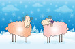 Winter sheep card