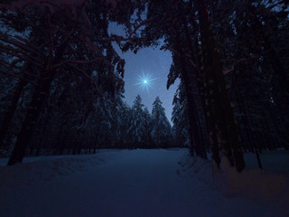 beautiful night winter landscape with the stars