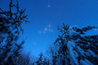 Beautiful night winter landscape with the stars