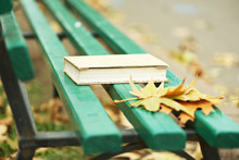 Closed Book Lying Near Autumn Leaves On Bench In Park