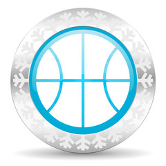 Poster - ball icon, christmas button, basketball sign