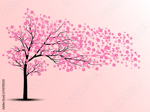 Fotografía the silhouette of cherry trees