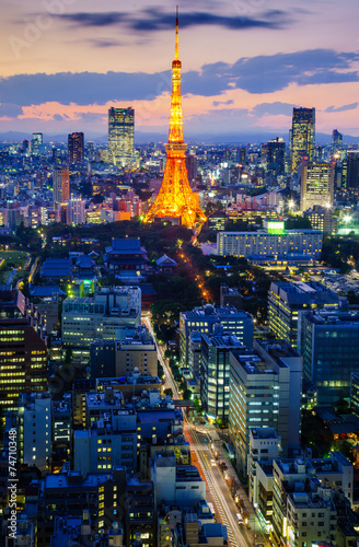 Stampa su Tela Tokyo city at night, Japan