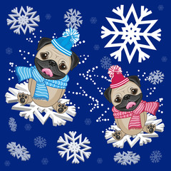 Wall Mural - Two Pug Dogs