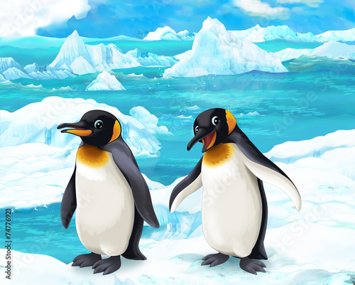 ペンギン アドビストックのデザイン かべいろ Com おしゃれ壁紙リフォーム貼り替え インクジェット壁紙のかべいろ Com